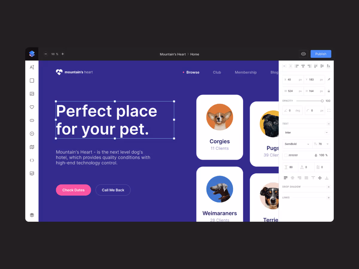 Siter.io - как Figma, только для сайтов. Основне зображення