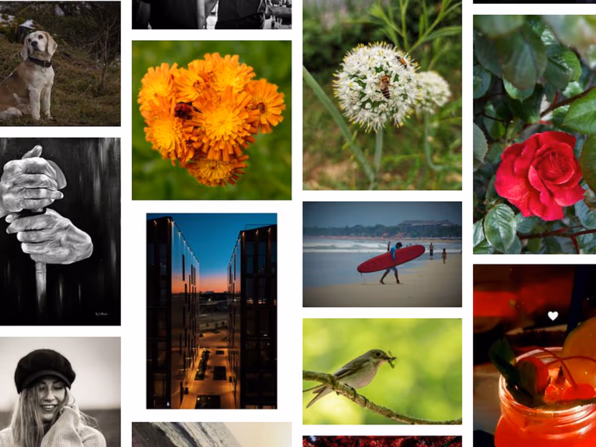 ClickASnap — платформа для монетизації фото Основне зображення