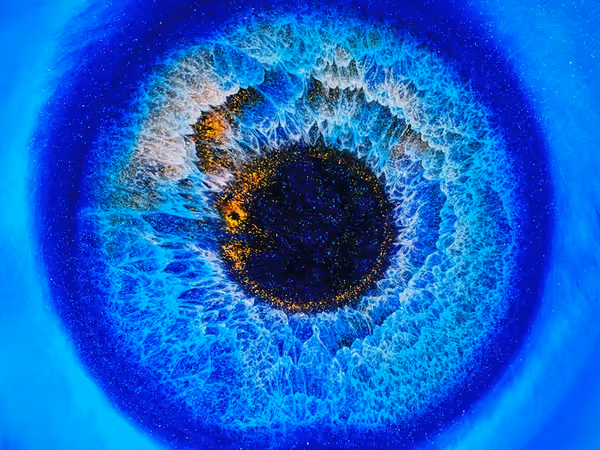 Theinspirationgrid - источник твоего креативного вдохновения Основне зображення