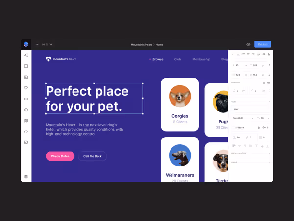 Siter.io - как Figma, только для сайтов. Основне зображення