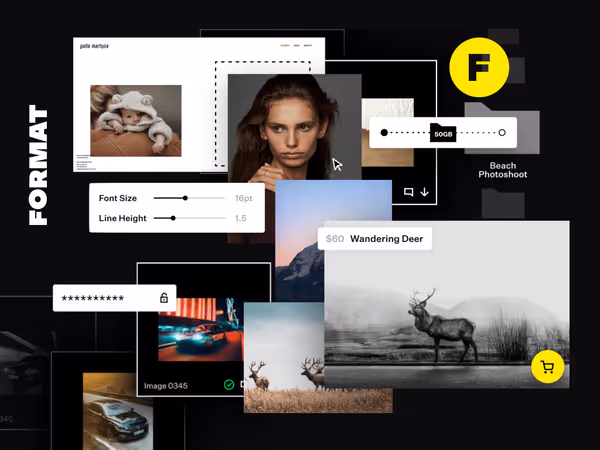Format - платформа для создания портфолио. Основне зображення