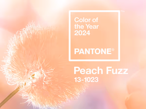 9 колірних трендів 2024 року Основне зображення