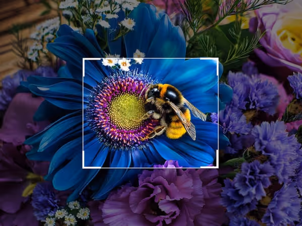 Як користуватись Photoshop AI Generative Fill: покроковий гайд Основне зображення